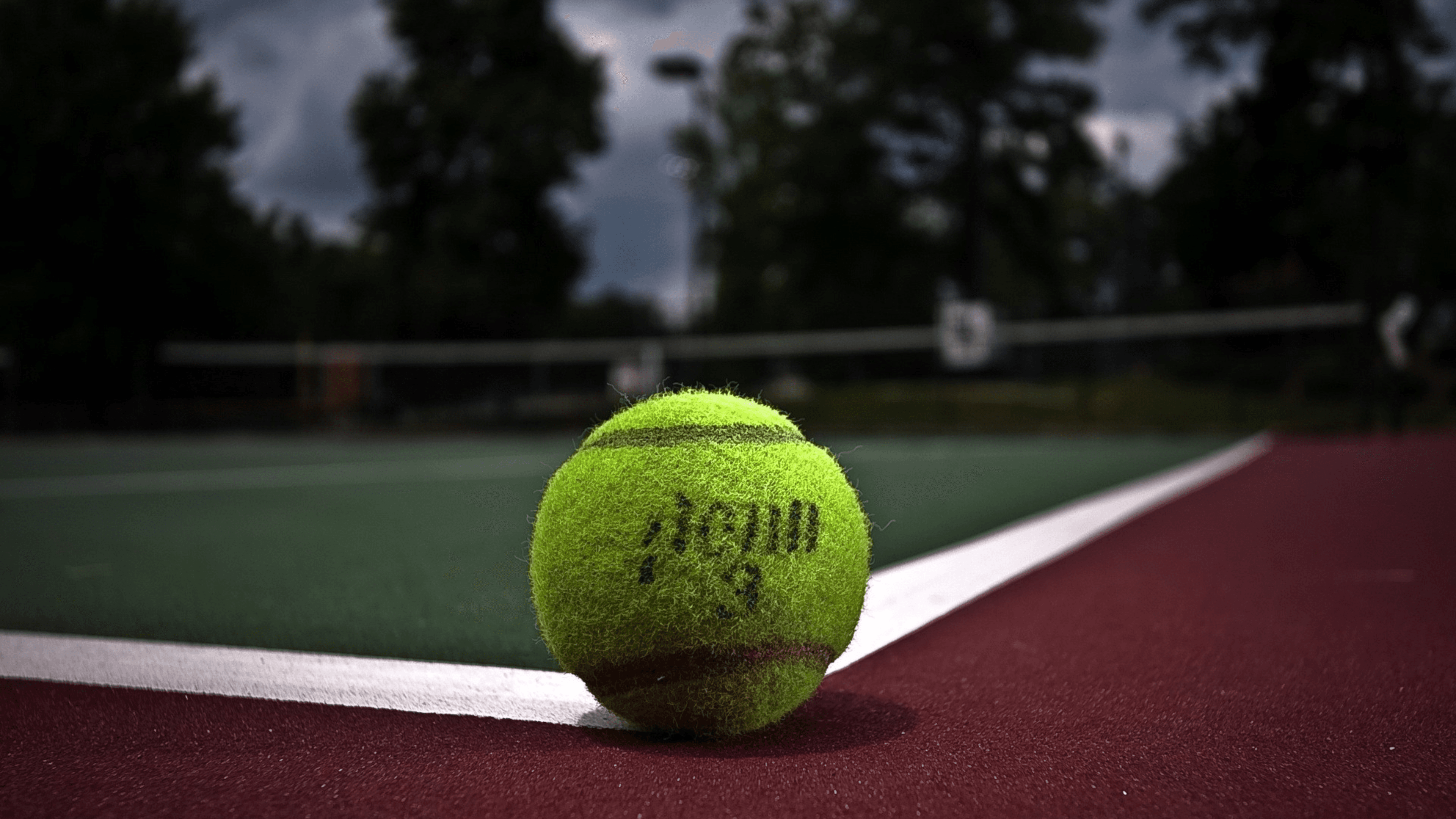 Padel Court Background